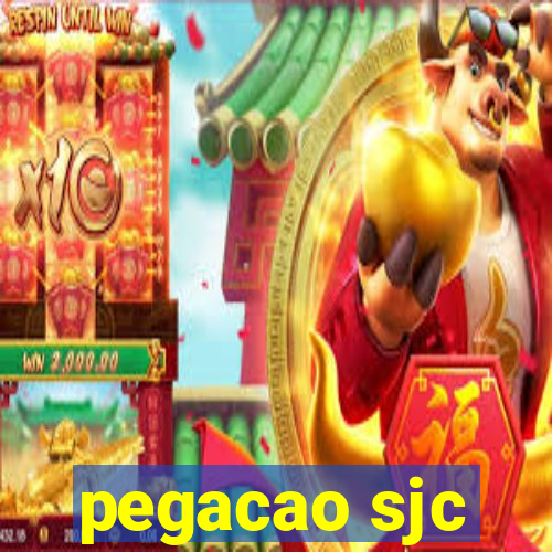 pegacao sjc